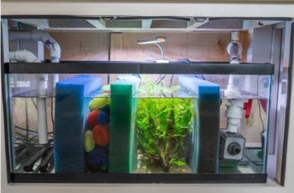 Burtons Aquatics Drum Filter: Premium Self-Cleaning Filtration for Koi and Garden Ponds