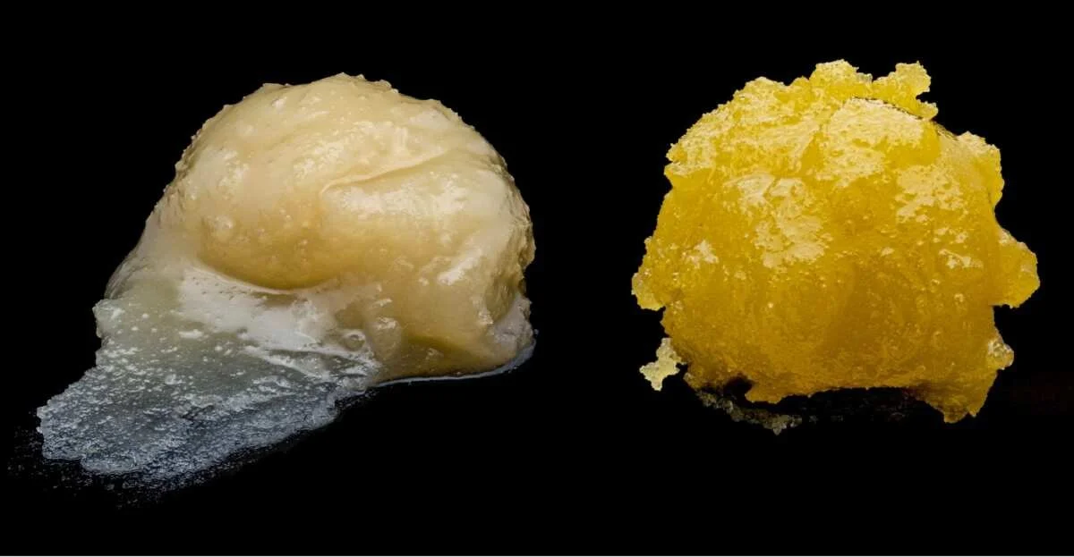 Hash Rosin 101: Pure, Potent, and Solventless Cannabis Enjoyment