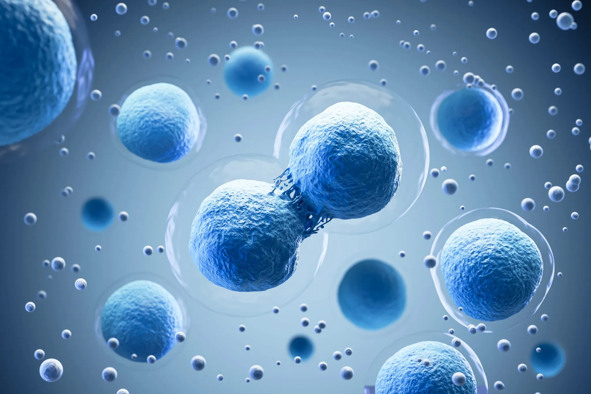 Stem Cells: Overview and Definition