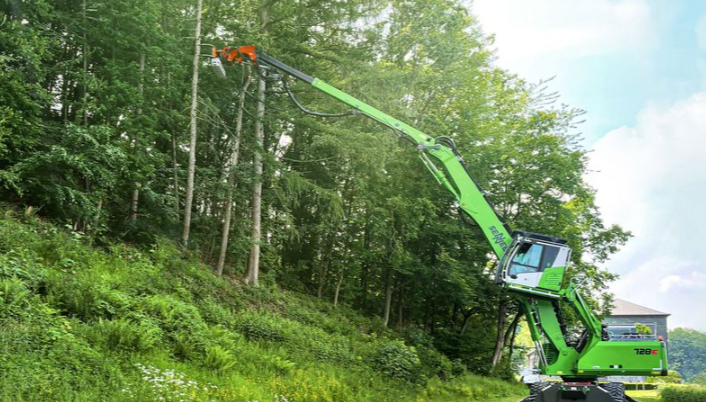 How to Evaluate a Professional Tree Care Company
