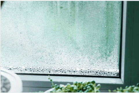 Why Insulated Window Glass Fogs and What Replacement Involves
