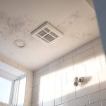 Weak Bathroom Ventilation - Control Humidity Before Mold Appears